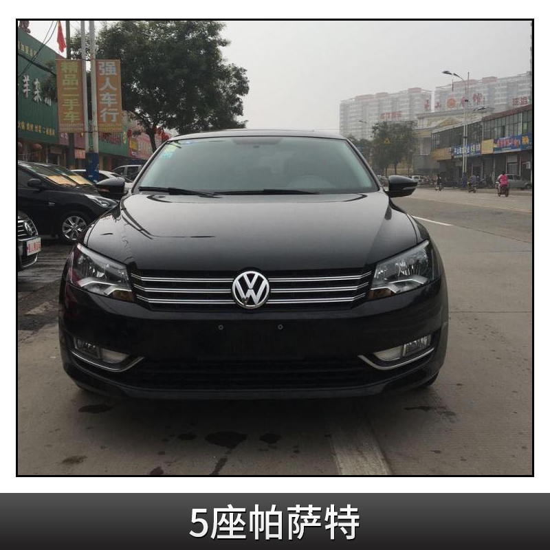5座帕薩特圖片/5座帕薩特樣板圖 (2)