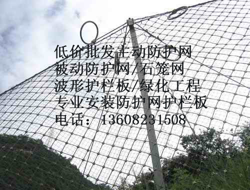 被動(dòng)防護(hù)網(wǎng)圖片/被動(dòng)防護(hù)網(wǎng)樣板圖 (4)