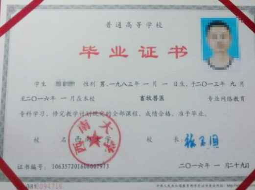 正規(guī)大專/本科提升