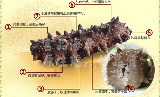 上海春季海參價(jià)格圖片
