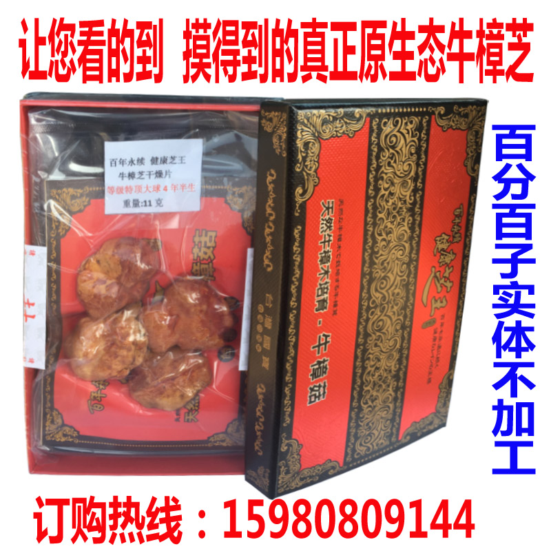 牛樟芝原生態(tài)純牛樟菇*4年半大球球菇子實(shí)體干燥11克一盒