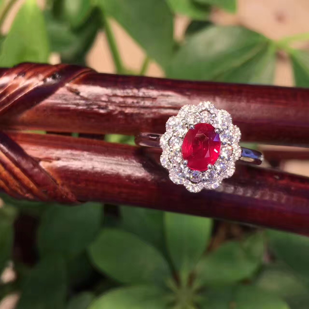 紅寶石戒指圖片/紅寶石戒指樣板圖 (3)