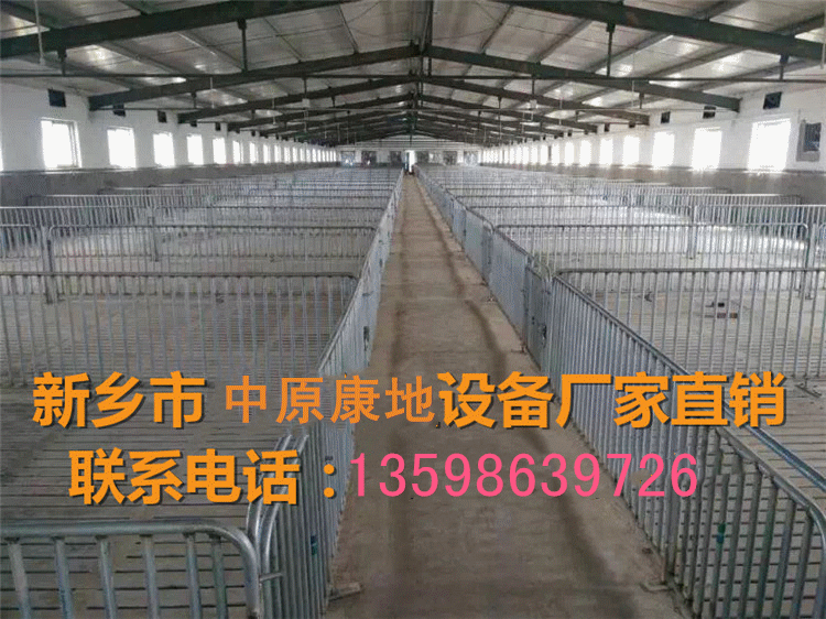 仔豬保育床 復(fù)合板保育欄 小豬保育床 豬用保育欄 養(yǎng)豬設(shè)備廠家