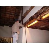 白蟻預(yù)防處理圖片