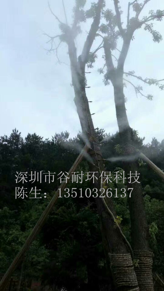 冷霧技術(shù)圖片/冷霧技術(shù)樣板圖 (2)