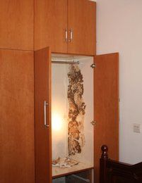 滅白蟻公司圖片