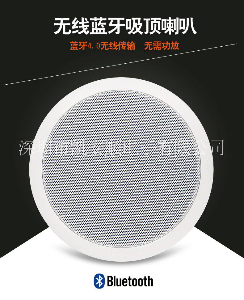 吸頂喇叭圖片/吸頂喇叭樣板圖 (2)