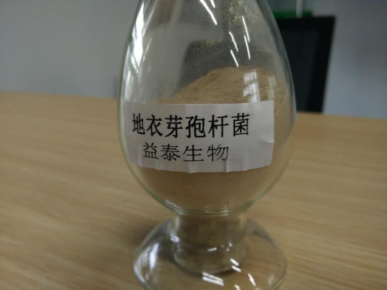 地衣芽孢桿菌，地衣芽孢桿菌200億/g