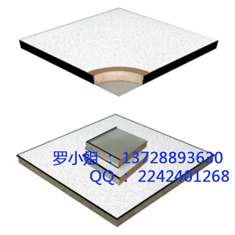 防靜電地板圖片/防靜電地板樣板圖 (4)