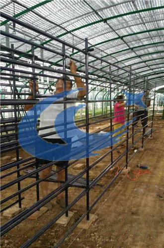 大棚支架圖片/大棚支架樣板圖 (4)