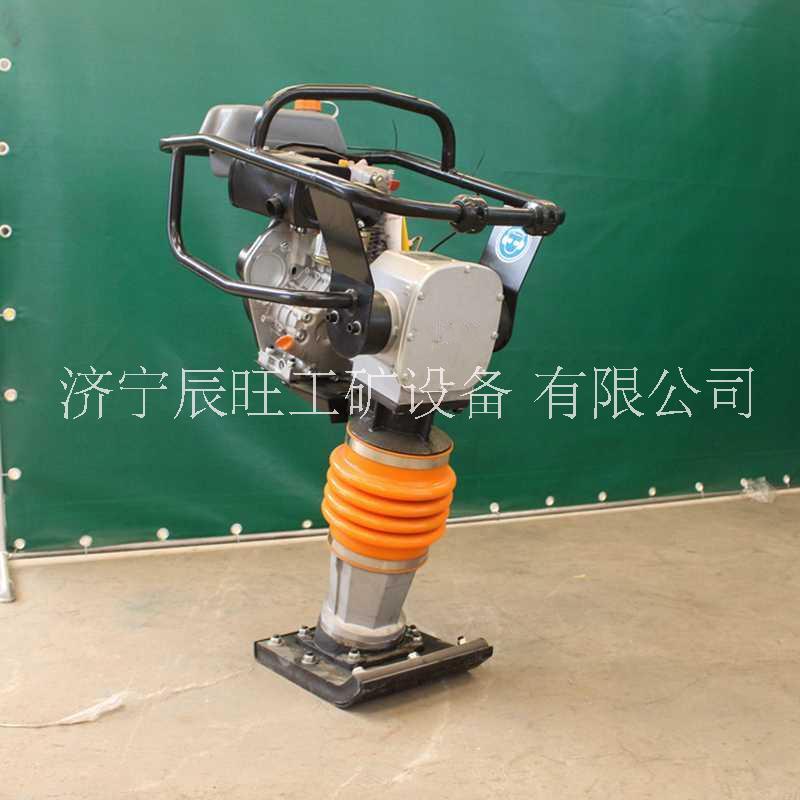 振動(dòng)夯圖片/振動(dòng)夯樣板圖 (3)