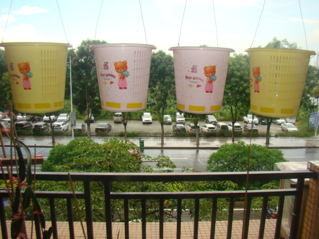 蒼蠅甕----精品卡通版圖片