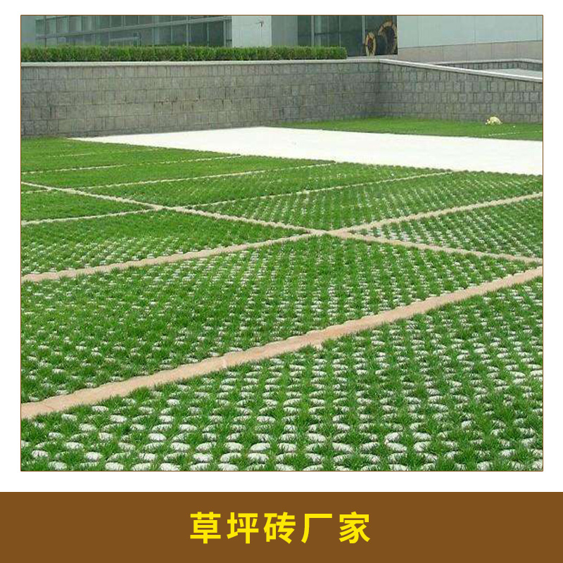 草坪磚圖片/草坪磚樣板圖 (1)