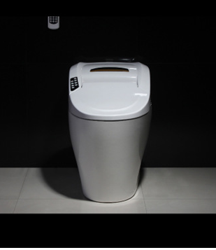 感應(yīng)馬桶圖片/感應(yīng)馬桶樣板圖 (4)