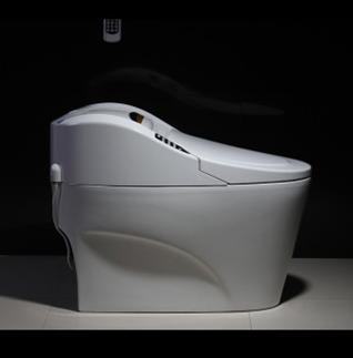 感應(yīng)馬桶圖片/感應(yīng)馬桶樣板圖 (3)