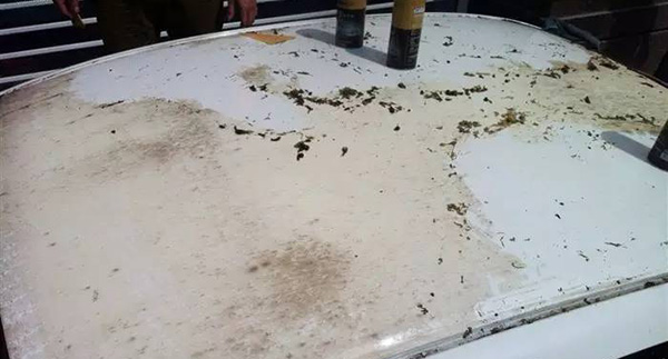 WINS透明膜圖片
