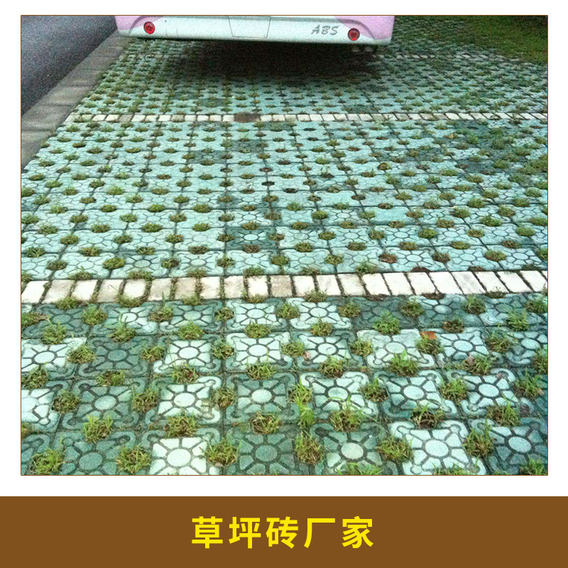 草坪磚圖片/草坪磚樣板圖 (3)