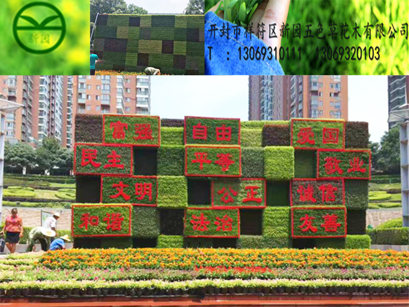 五色草造型圖片/五色草造型樣板圖 (2)