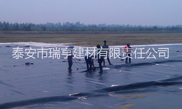 魚塘防滲膜廠家圖片