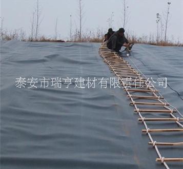 魚塘防滲膜圖片/魚塘防滲膜樣板圖 (1)