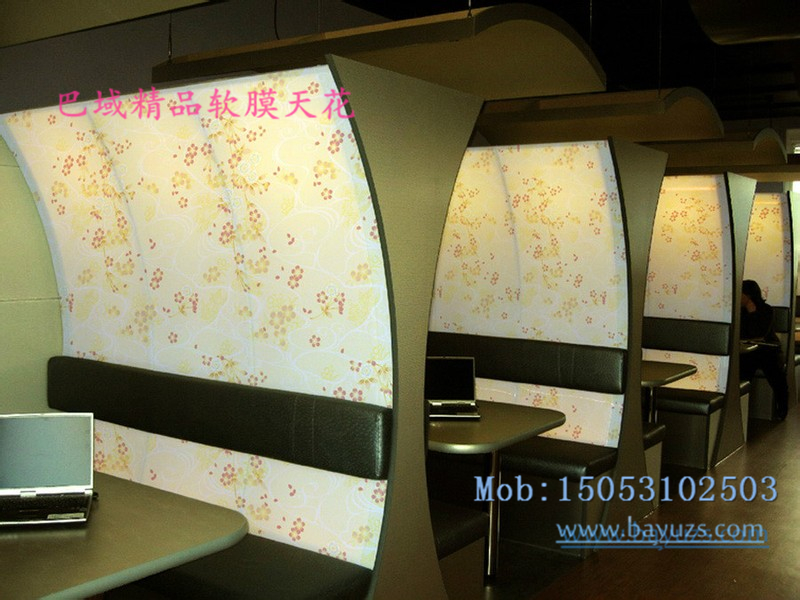 巴域軟膜天花系列精品 軟膜天吊頂圖片/巴域軟膜天花系列精品 軟膜天吊頂樣板圖 (2)