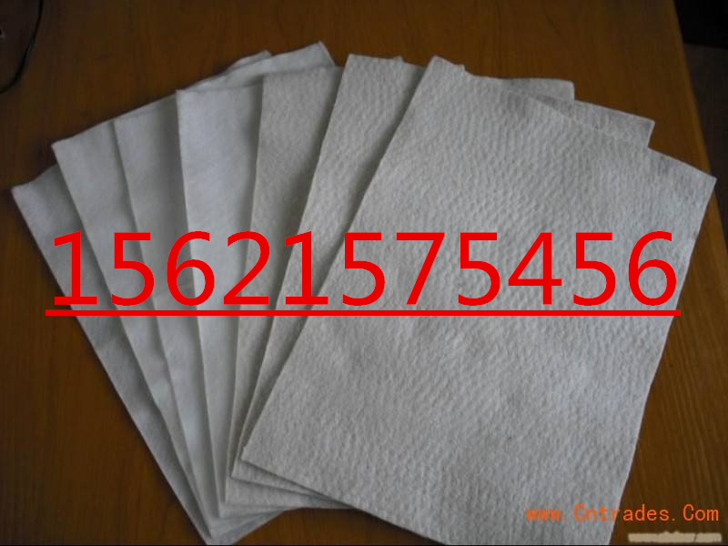 加筋土工布圖片/加筋土工布樣板圖 (3)