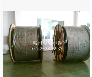3芯阻燃耐高溫電纜 金龍羽電纜供應(yīng)商 金龍羽電纜批發(fā)】 金龍羽電纜廠家
