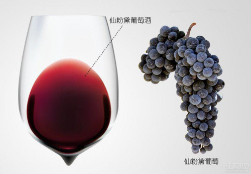 美國OZV仙粉黛紅葡萄酒圖片/美國OZV仙粉黛紅葡萄酒樣板圖 (4)