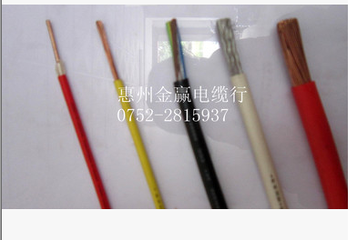 金龍羽消防線圖片/金龍羽消防線樣板圖 (4)