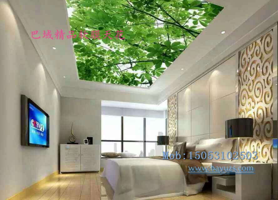 巴域軟膜天花系列精品 軟膜天吊頂圖片/巴域軟膜天花系列精品 軟膜天吊頂樣板圖 (1)