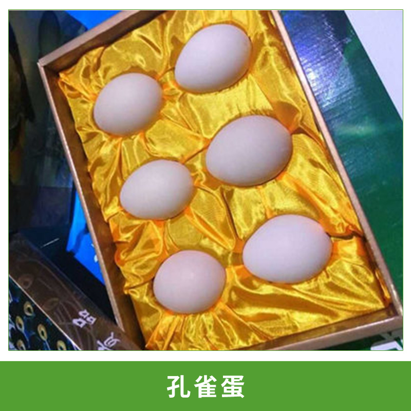 孔雀蛋圖片/孔雀蛋樣板圖 (2)