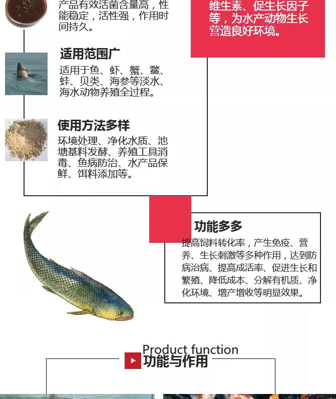 EM菌水產(chǎn)養(yǎng)殖圖片/EM菌水產(chǎn)養(yǎng)殖樣板圖 (4)