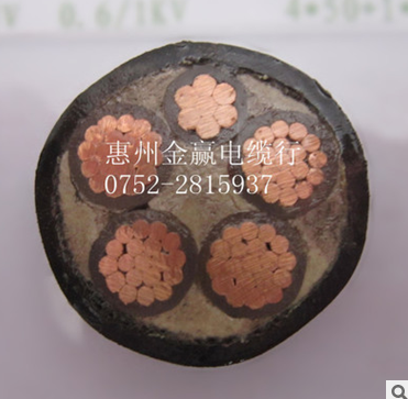 耐火電纜圖片/耐火電纜樣板圖 (3)