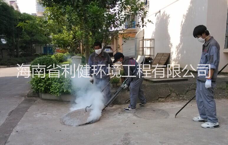 海南白蟻防治多少錢 海南白蟻防治公司 海南白蟻防治電話