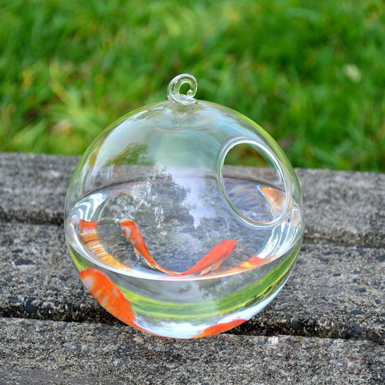 玻璃魚(yú)缸圖片/玻璃魚(yú)缸樣板圖 (3)