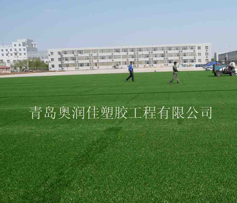 足球場草坪圖片/足球場草坪樣板圖 (3)