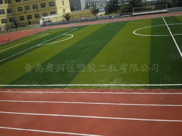 足球場草坪圖片/足球場草坪樣板圖 (2)