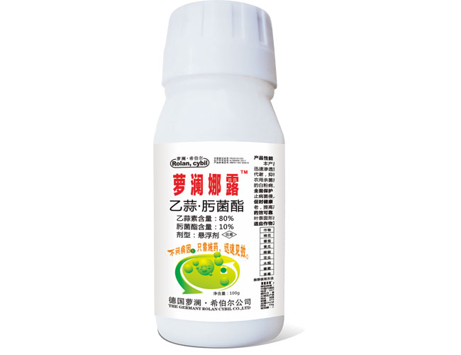 萊茵圖片/萊茵樣板圖 (1)