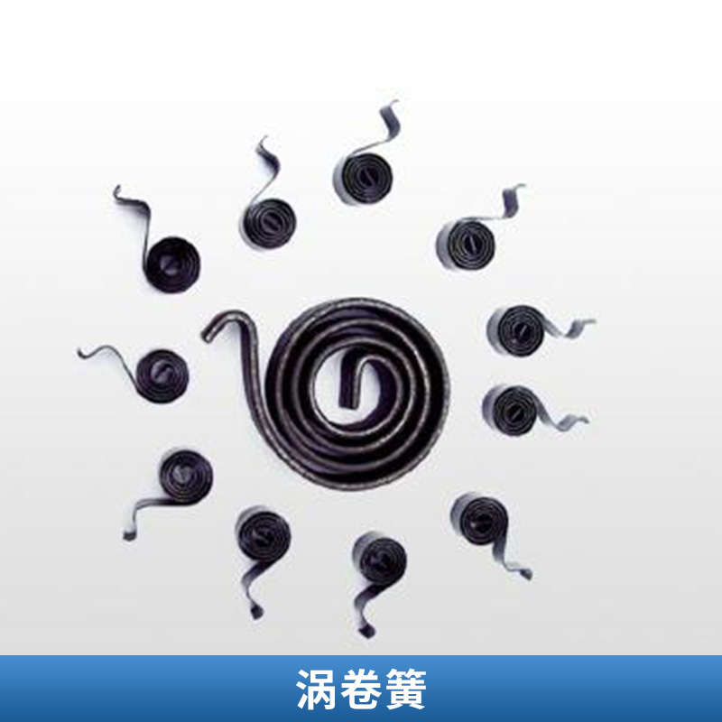 渦卷簧圖片/渦卷簧樣板圖 (2)