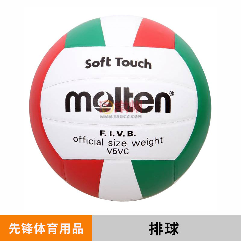 排球圖片/排球樣板圖 (3)