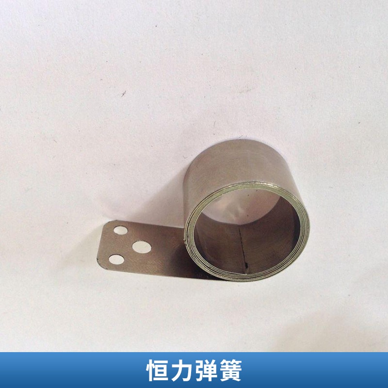 恒力彈簧圖片/恒力彈簧樣板圖 (3)