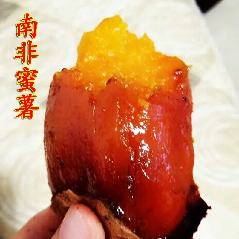煙薯25蜜薯批發(fā)圖片/煙薯25蜜薯批發(fā)樣板圖 (4)