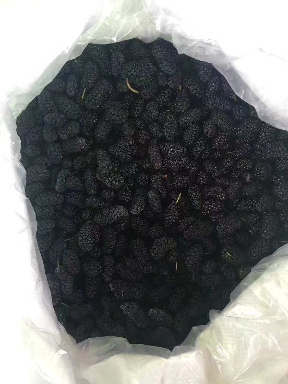 黑桑葚圖片/黑桑葚樣板圖 (4)