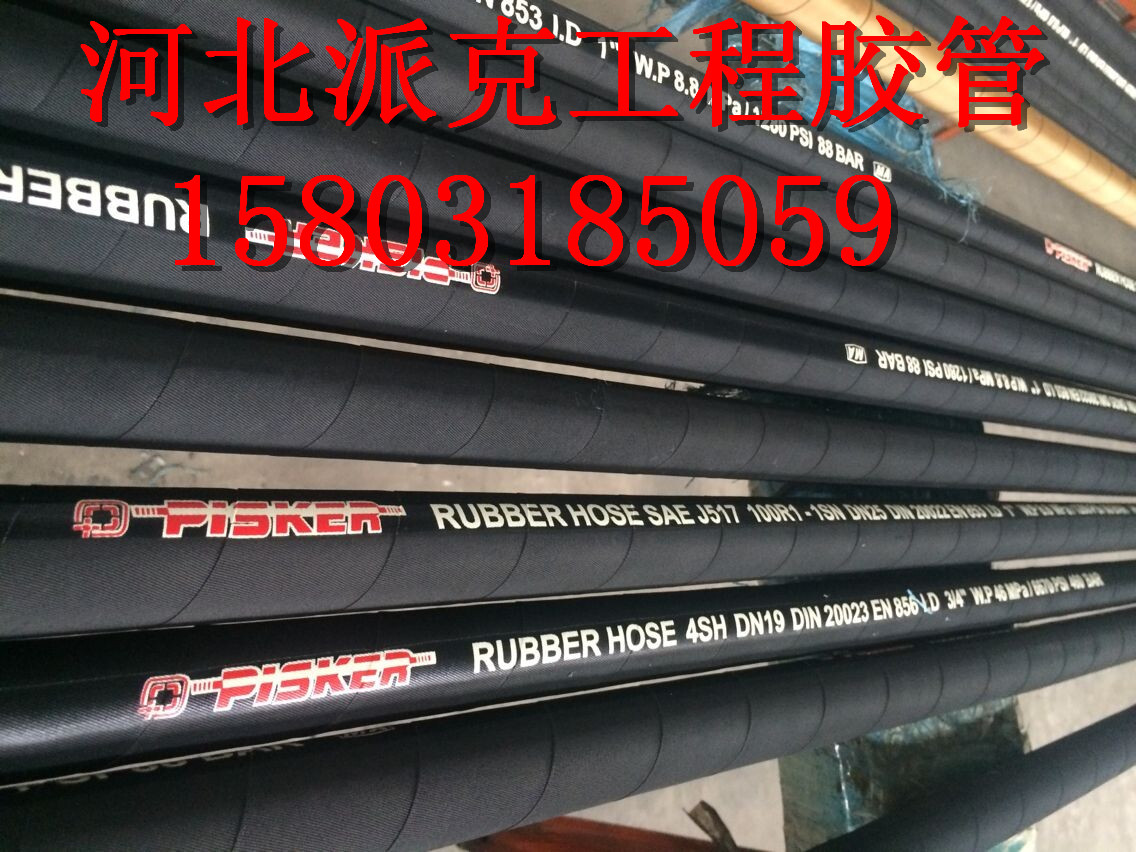 DIN-EN856 4SH圖片/DIN-EN856 4SH樣板圖 (2)