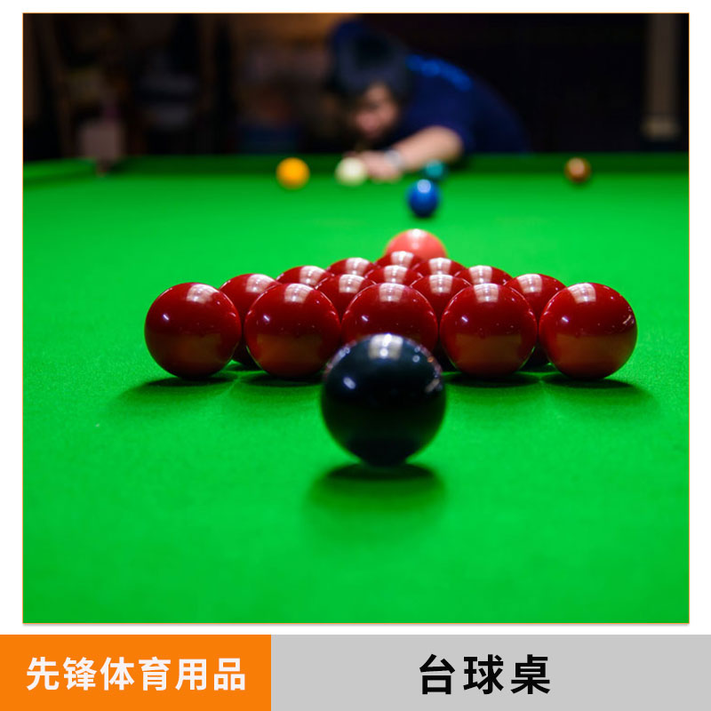臺球桌圖片/臺球桌樣板圖 (3)