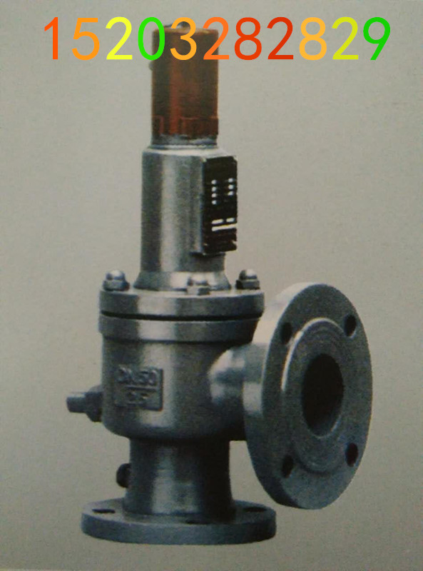 放散閥圖片/放散閥樣板圖 (4)