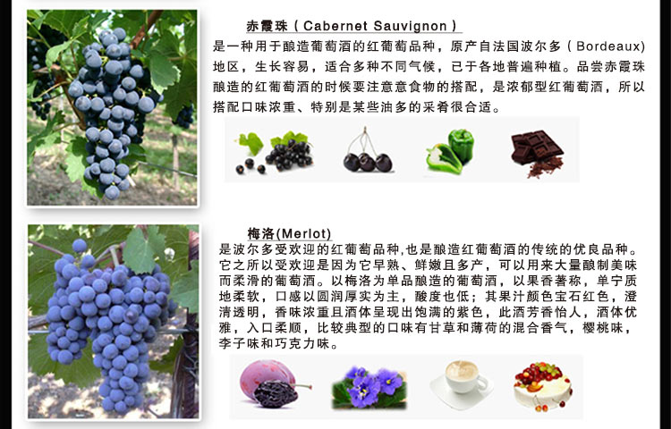 供應批發(fā)美國酒王 納帕谷*酒作