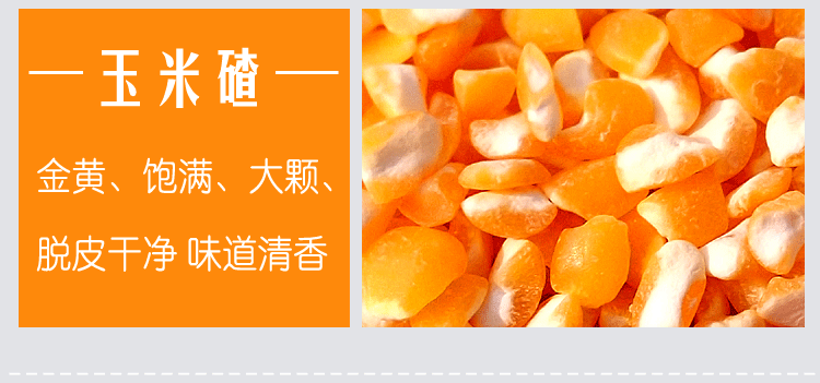 優(yōu)質(zhì)玉米圖片/優(yōu)質(zhì)玉米樣板圖 (3)