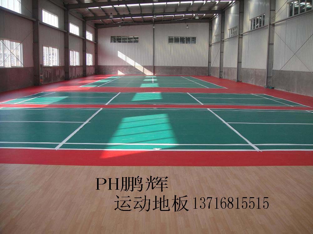 羽毛球圖片/羽毛球樣板圖 (2)