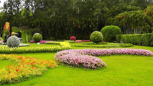 園林草坪 種草皮 草皮養(yǎng)護(hù)管理圖片/園林草坪 種草皮 草皮養(yǎng)護(hù)管理樣板圖 (2)